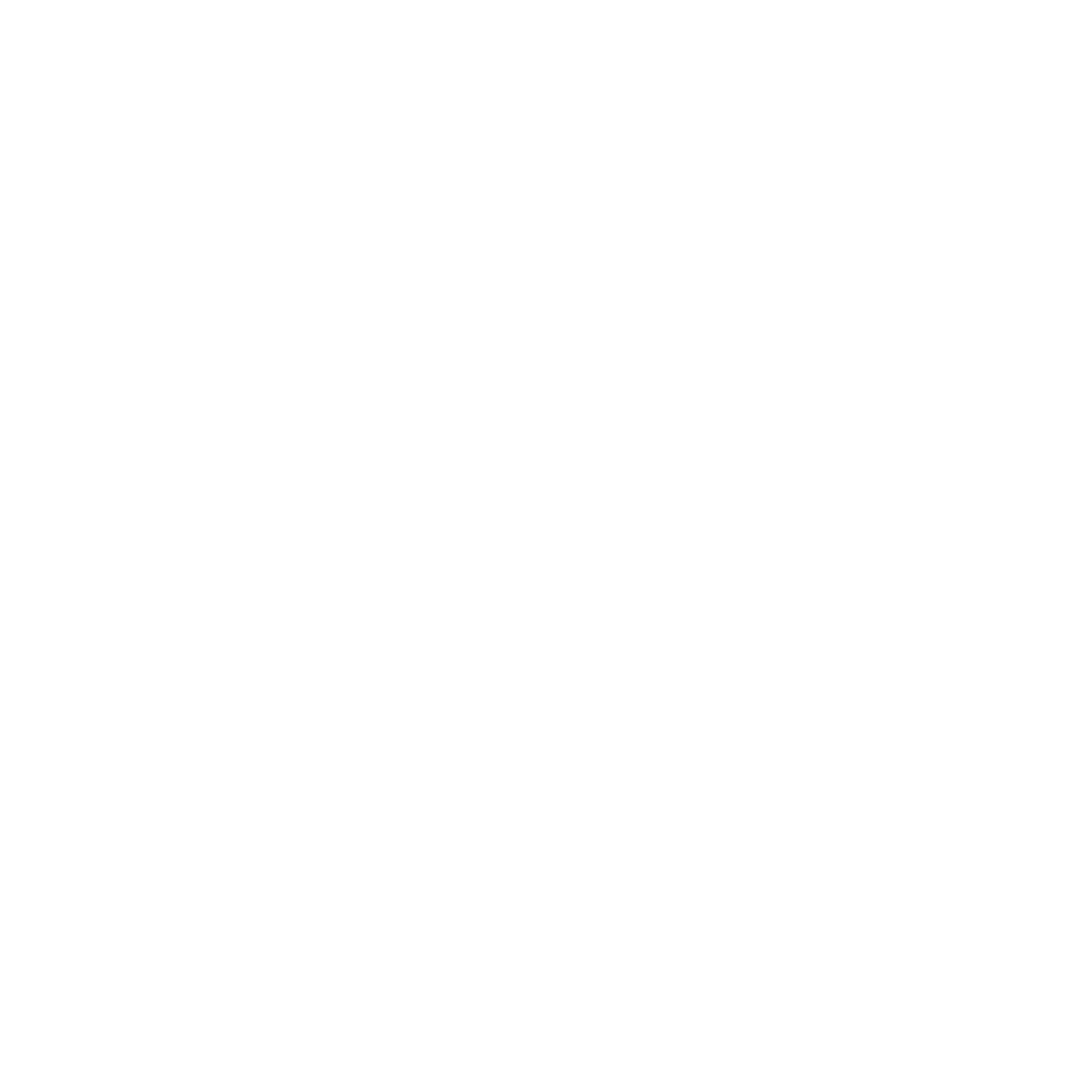 Logo LIDL copy