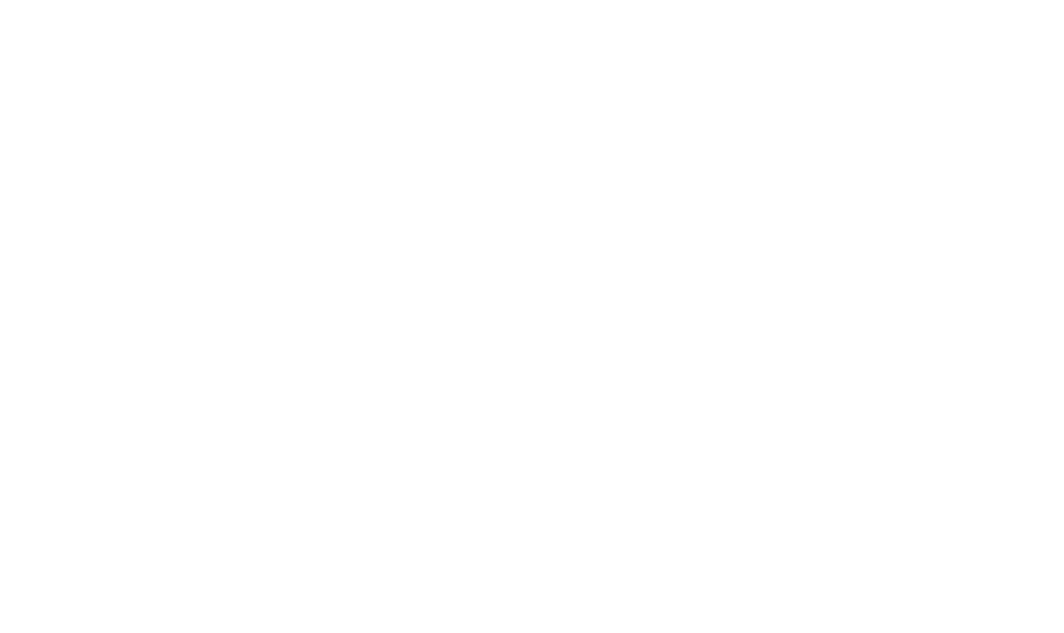 Logo Fisherman's Friend copy