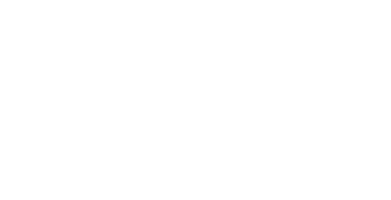 Logo bigFM