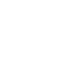Icon for ticket GREEN CAMPING + PARKING